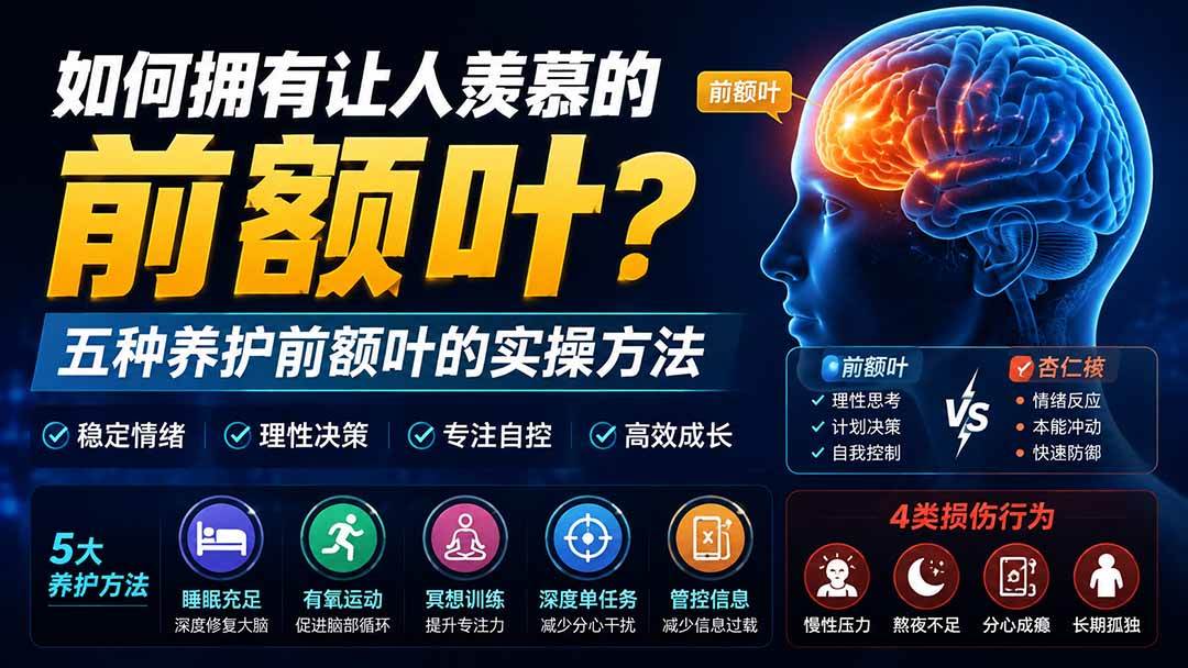 （19805期）付费文章：如何拥有让人羡慕的前额叶？五种养护前额叶的实操方法-云网创